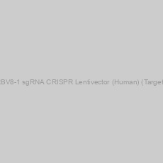 Image of TRBV8-1 sgRNA CRISPR Lentivector (Human) (Target 3)